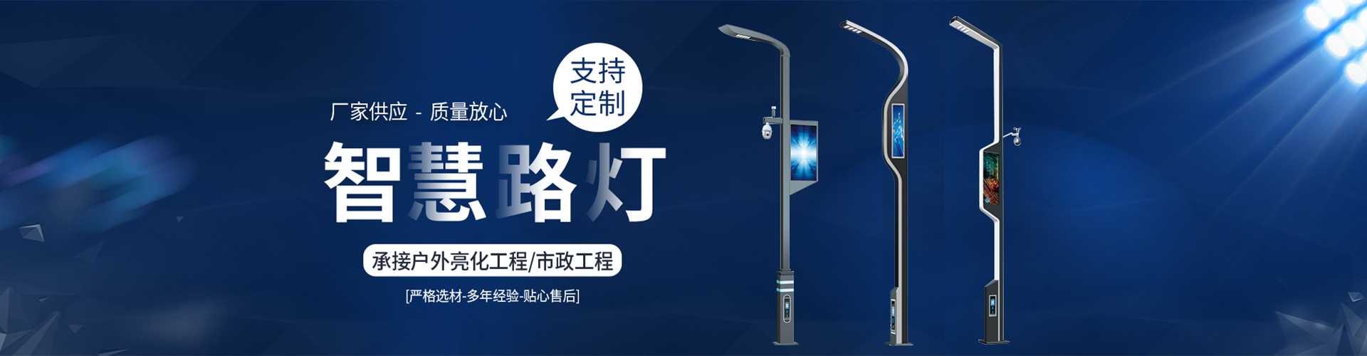 蒙阴县太阳能路灯定制厂家