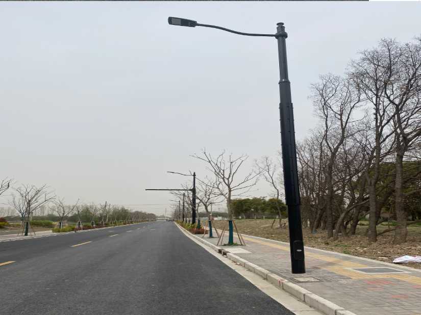 蒙阴县上海综合杆 太阳能路灯工程